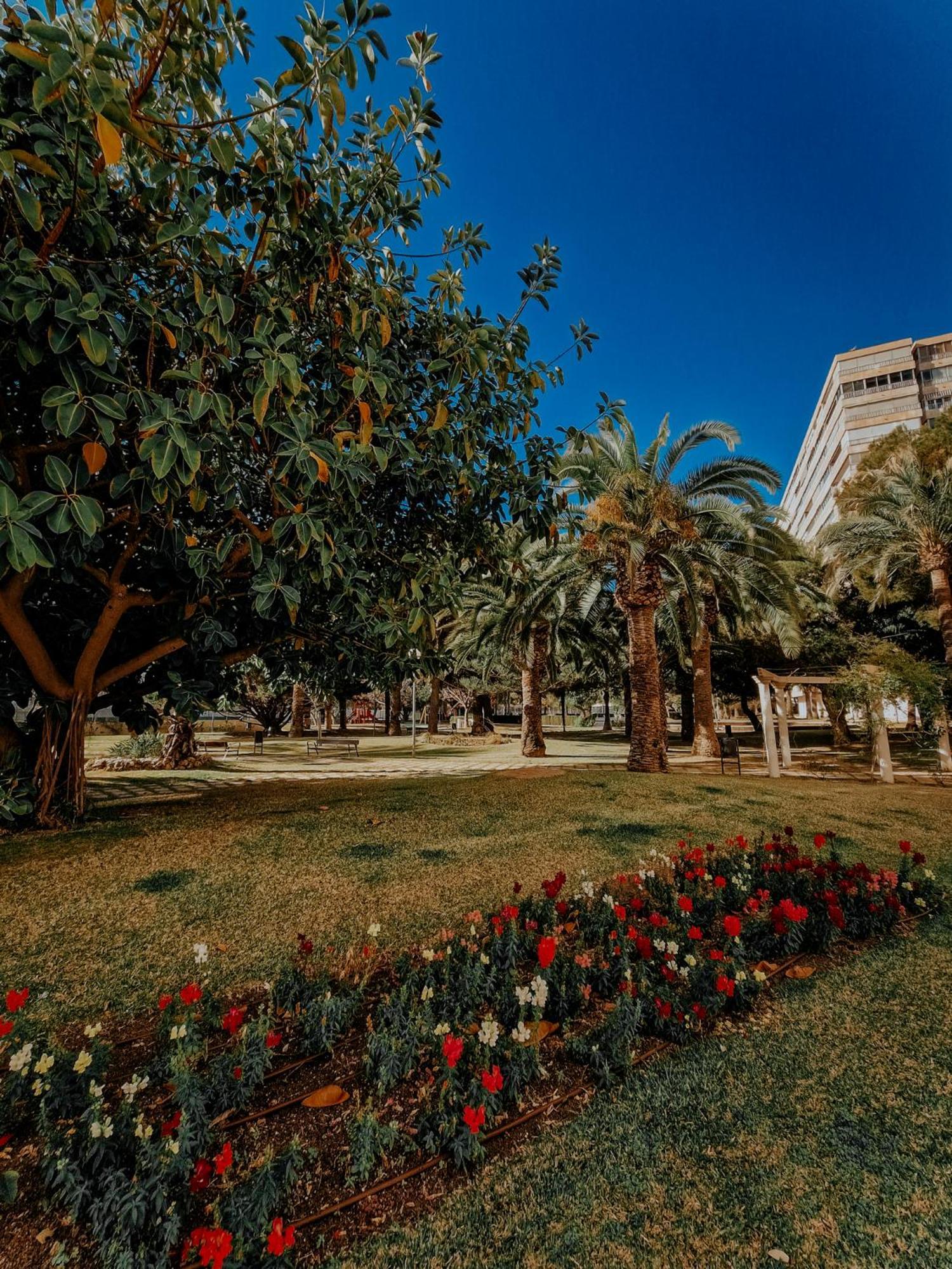 Sea Apartment Alicante Exterior foto